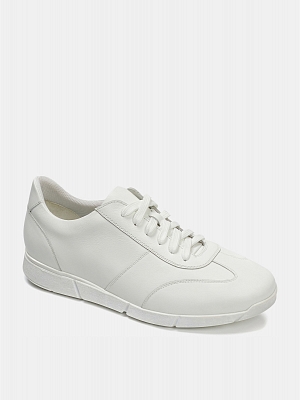 Кроссовки мужские TEO