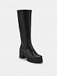 Сапоги женские МЕЛАНИЯ