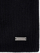 BUCKINGHEMSHIRE03-P-01_Н Шапка мужская 50%вискоз,30%пол иэст,20%нейлон,без/разм.черная
