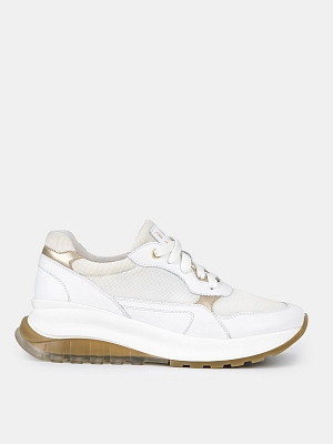 Кроссовки женские ASSEN